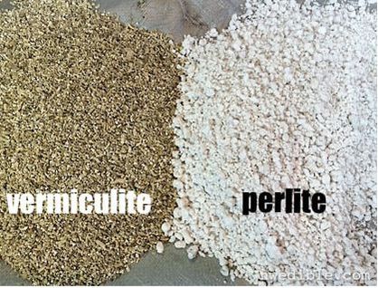 vermiculite and perlite